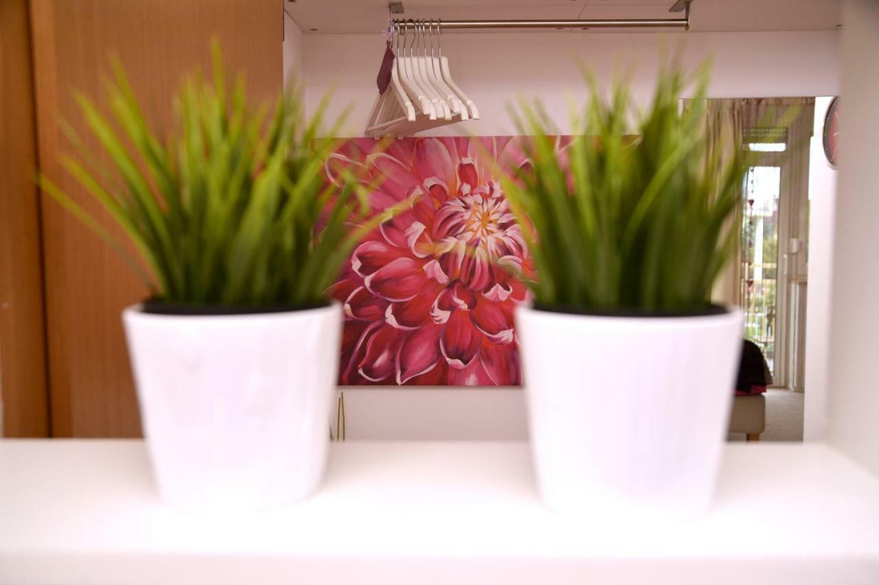 شقة Studio Apartman D سيسفيت المظهر الخارجي الصورة